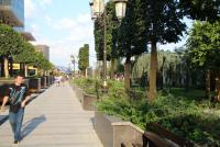 Imagine atasata: iul-30.aug.2019-010.jpg